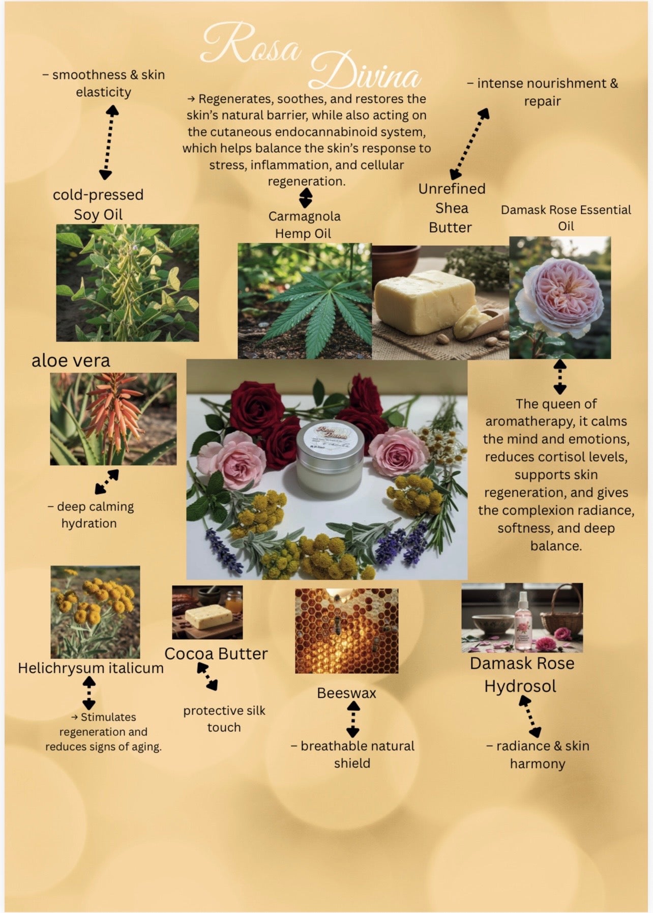 Rosa Divina - Face cream - E - Canuba
