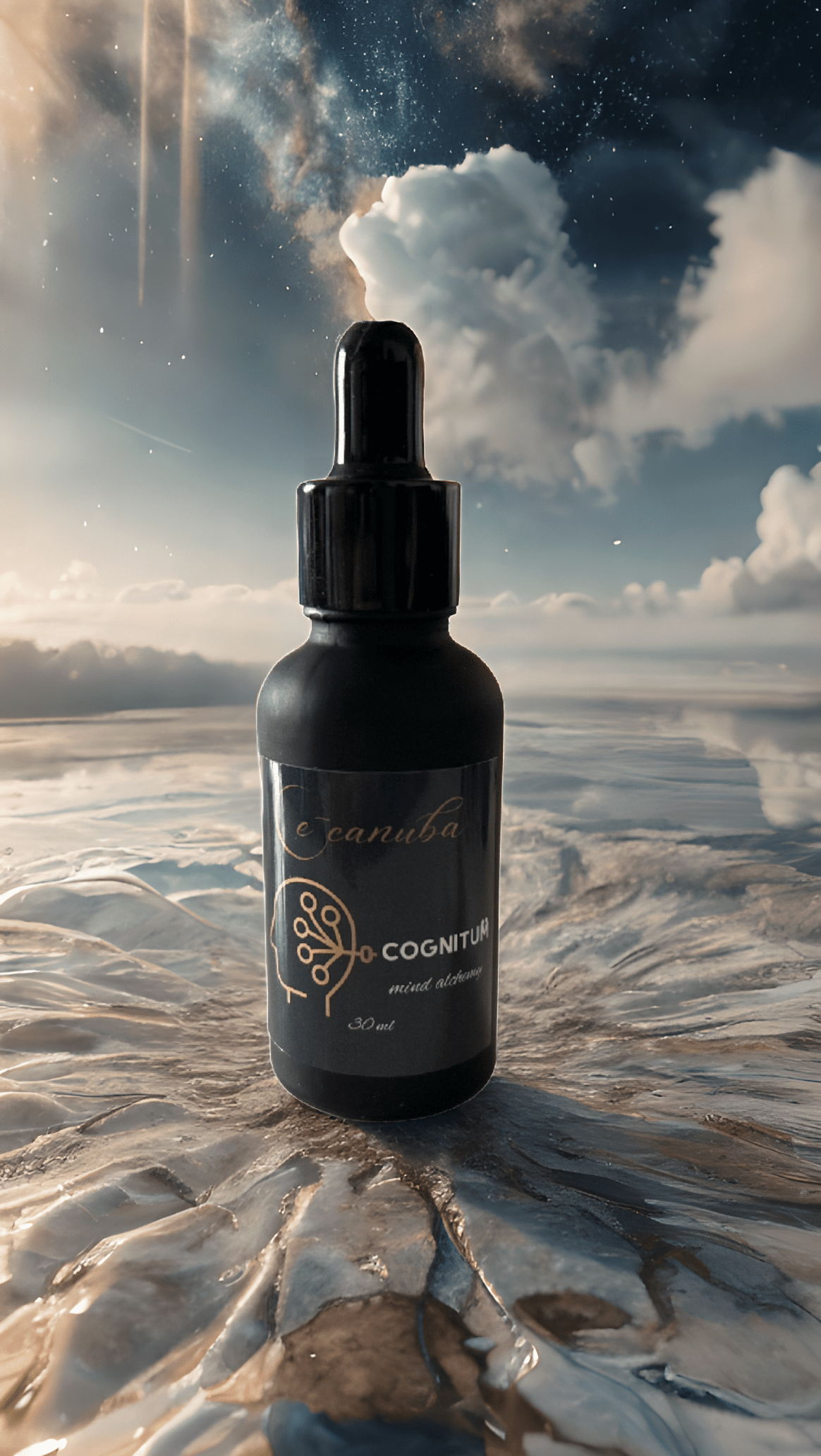 Cognitum oil - CBDa, CBGa , Lion s mane & Reishi - E - Canuba